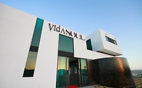 Vidasoul
